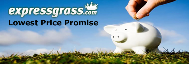 Express Grass - Lowest Price Promise Banner